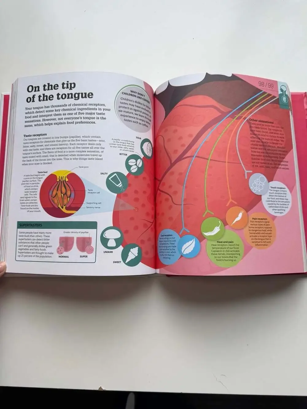 How The Body Works The Facts Simply Explained By DK Hardcover Book